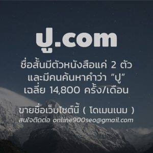 ขายโดเมนเนม ปู.com